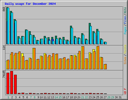 Daily usage for December 2024