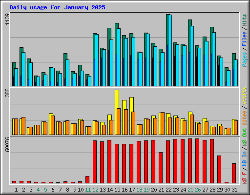 Daily usage for January 2025