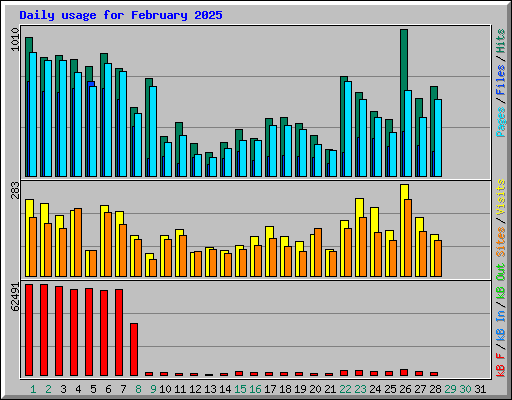 Daily usage for February 2025