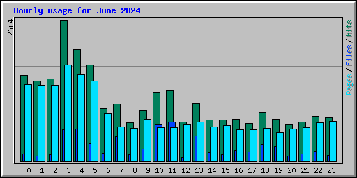 Hourly usage for June 2024