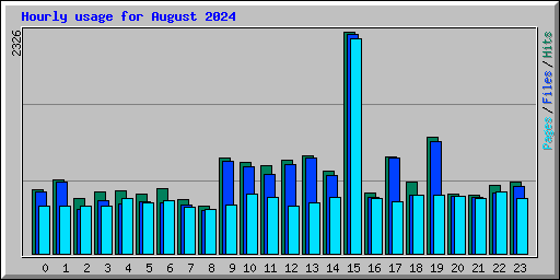 Hourly usage for August 2024