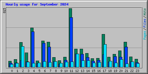 Hourly usage for September 2024