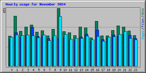 Hourly usage for November 2024