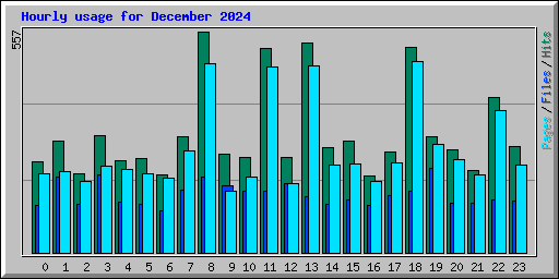 Hourly usage for December 2024