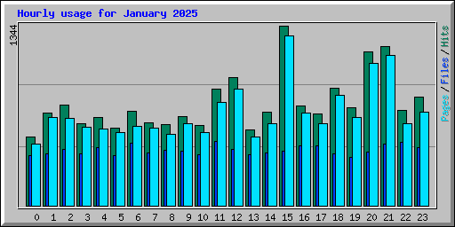 Hourly usage for January 2025