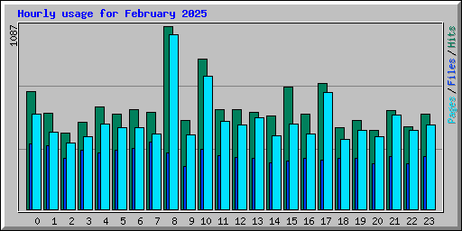 Hourly usage for February 2025