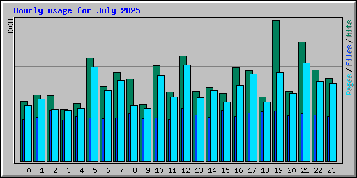 Hourly usage for July 2025