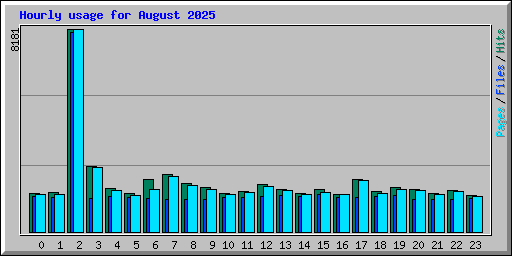 Hourly usage for August 2025