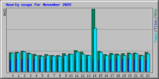Hourly usage for November 2025