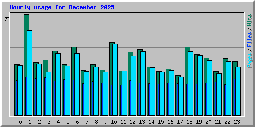 Hourly usage for December 2025