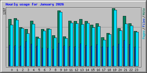 Hourly usage for January 2026