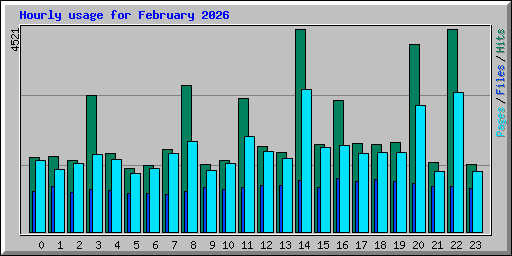 Hourly usage for February 2026