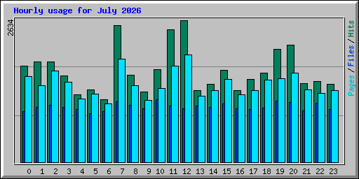 Hourly usage for July 2026