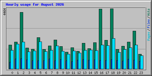 Hourly usage for August 2026