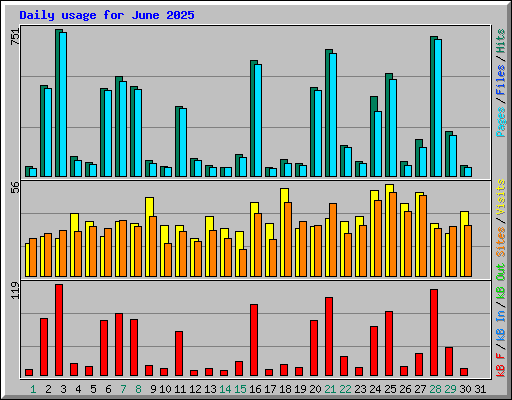 Daily usage for June 2025