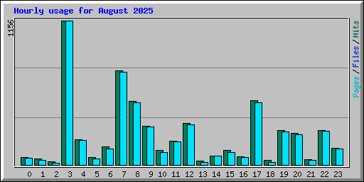 Hourly usage for August 2025