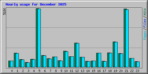 Hourly usage for December 2025