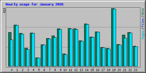 Hourly usage for January 2026