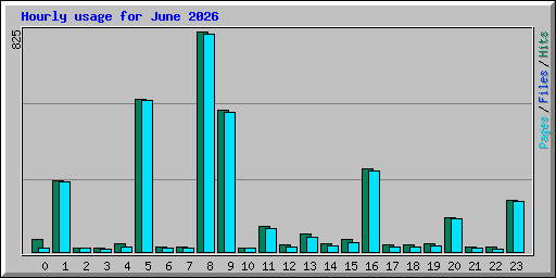 Hourly usage for June 2026