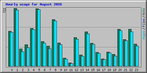 Hourly usage for August 2026